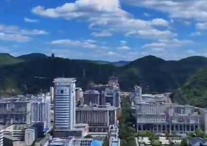 爱情岛论坛